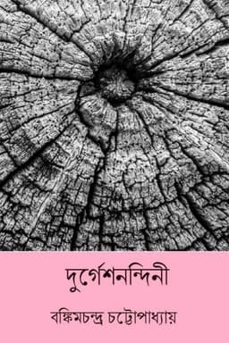 দুর্গেশনন্দিনী